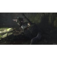  The Last Guardian для PlayStation 4