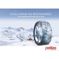 Зимние шины Petlas Glacier W661 185/65R15 88T