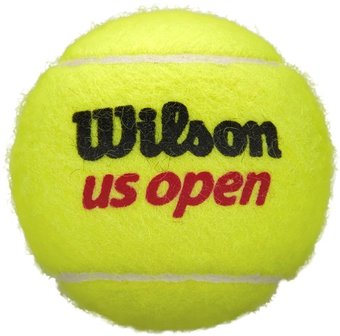 Набор теннисных мячей Wilson US Open WRT116200 (4 шт)