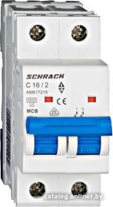 

Выключатель автоматический Schrack Technik AM617216