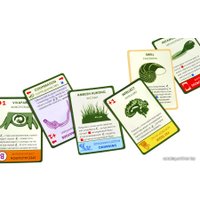 Настольная игра Правильные игры Эволюция. Подарочное издание