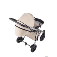 Универсальная коляска Anex E/type 2022 (2 в 1, soul et-02A)