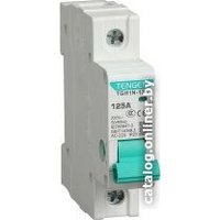 Выключатель нагрузки Tengen TGH1N-125, 1P, 80A, 1M TEN340007