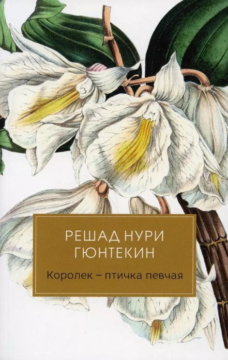 

Книга издательства Черная речка. Королек - птичка певчая 9785604385043 (Гюнтекин Решад Нури)