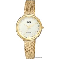 Наручные часы Q&Q QC35J010