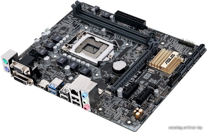 Asus h110ma store