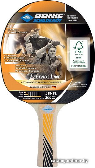 Ракетка для настольного тенниса Donic-Schildkrot Legends 200 705221