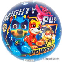 Детский мяч Играем вместе Щенячий Патруль 23 см FD-9(PAW)-2