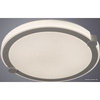 Светильник-тарелка Arte Lamp Biscotti A2679PL-72WH