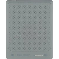 Электронная книга Digma E2