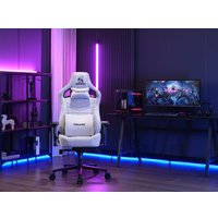 Игровое (геймерское) кресло Evolution Nomad Grey (серый)