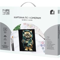 Картина по номерам Три совы Стильный кот КХп_48163