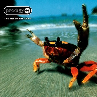 Виниловая пластинка The Prodigy ‎- The Fat Of The Land