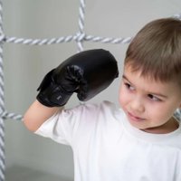 Перчатки для бокса Romana МФ-МК-01.71.03 (черный)