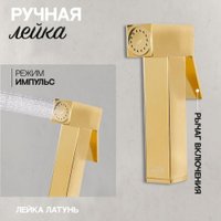 Гигиенический душ Hansberge H3077 (золото глянец)