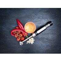 Погружной блендер Gastronoma 18210002