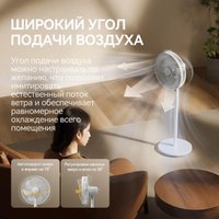 Вентилятор Deerma DEM-FD11W